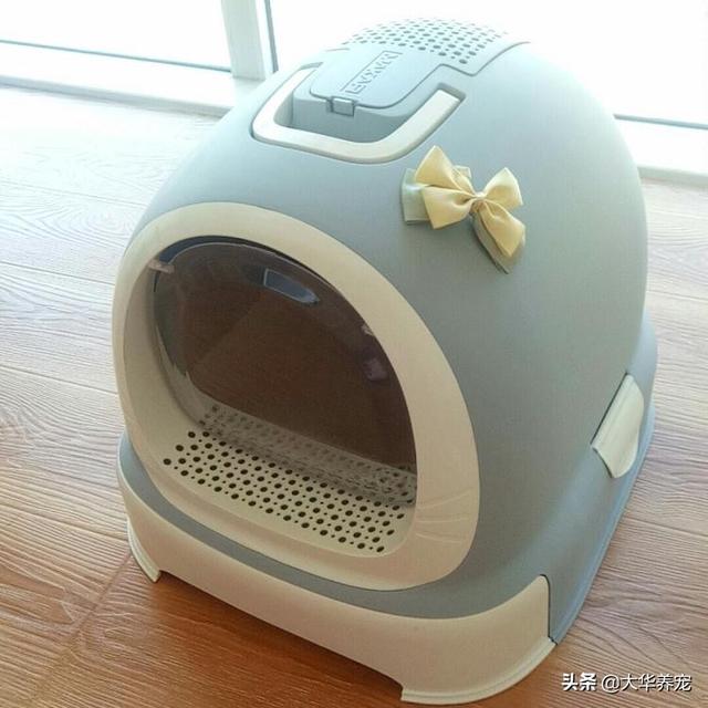 小野猫驯养手册在线:捡到只4个月左右的小猫，想家养，养之前需要做哪些处理？