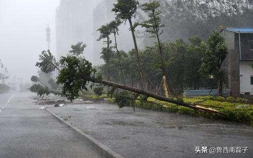 国家防办部署双台风“康森”“灿都”防御工作，台风“利奇马”怎样形成的