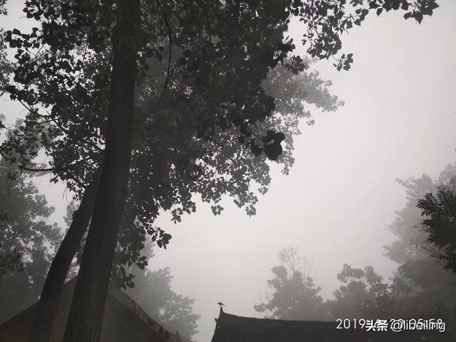 李宗盛女儿:为什么人们总爱说：年少不懂李宗盛，听懂已是曲中人？