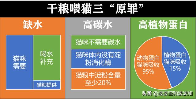 信元发育宝猫粮哪个系列好:大年初三捡了只蓝白流浪猫，学生党我要买哪种猫粮？