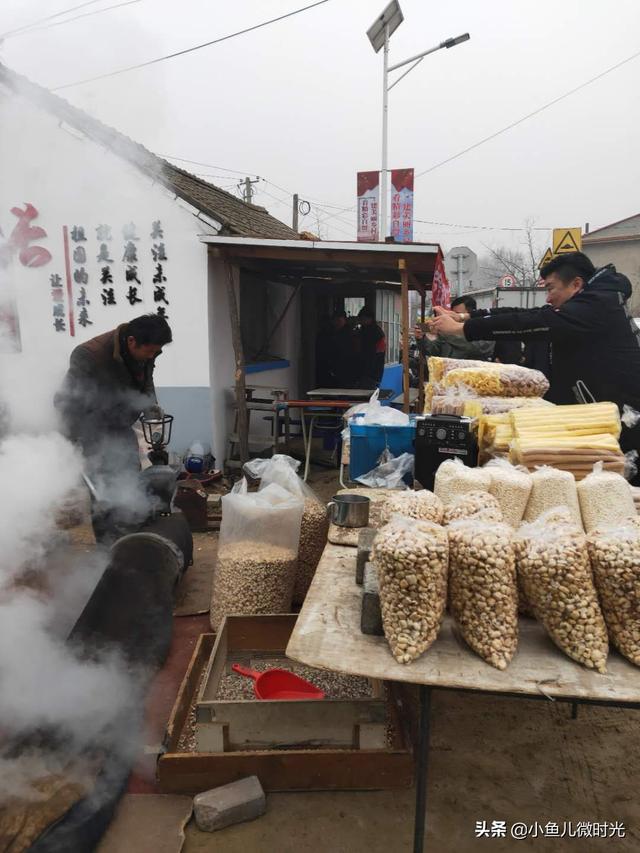 宠物食品店闪闪麻麻:宝宝不爱吃饭，反复生病，怎么样才能提高免疫力？