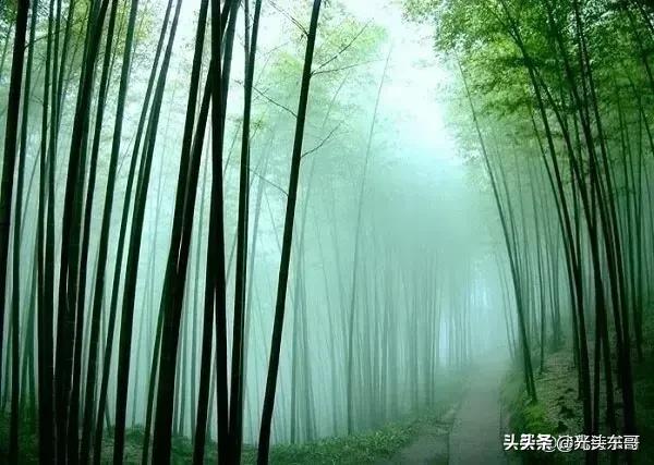 周杰伦前女友:林月云给女婿按摩完全不避嫌，是真没分寸感还是她的手段太高？