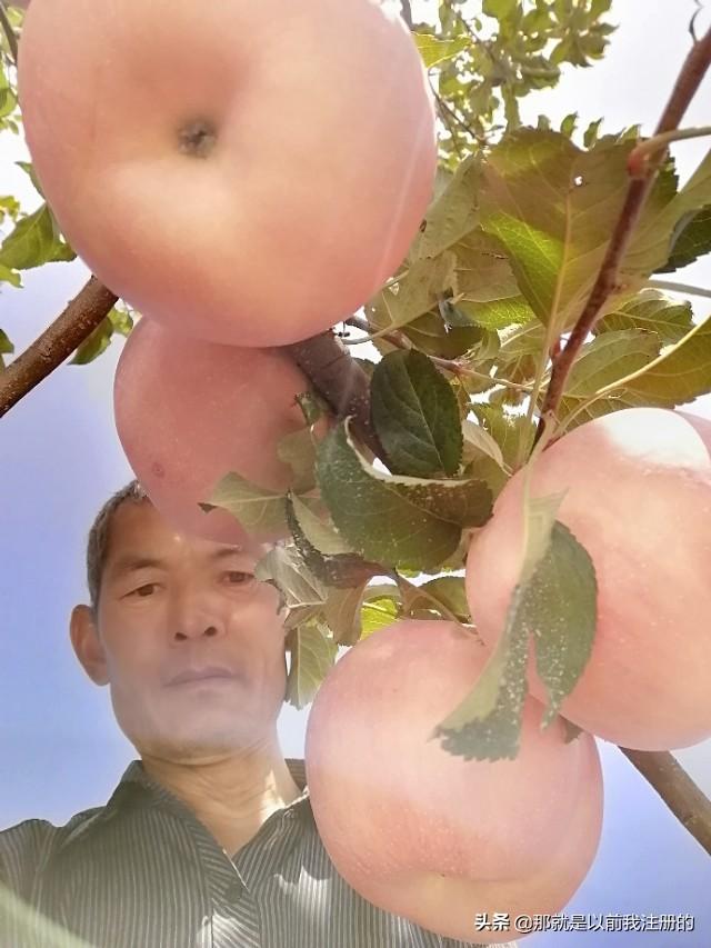 国家中心城市是哪几座城市？