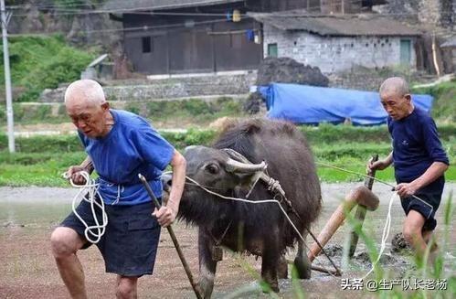 老烟斗灵异事件照骨镜:有哪些令人浑身发抖的故事？