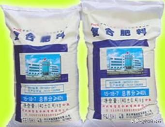 熟黄豆对虎皮兰的作用:煮熟的黄豆适合和复合肥掺在一起做肥料吗？