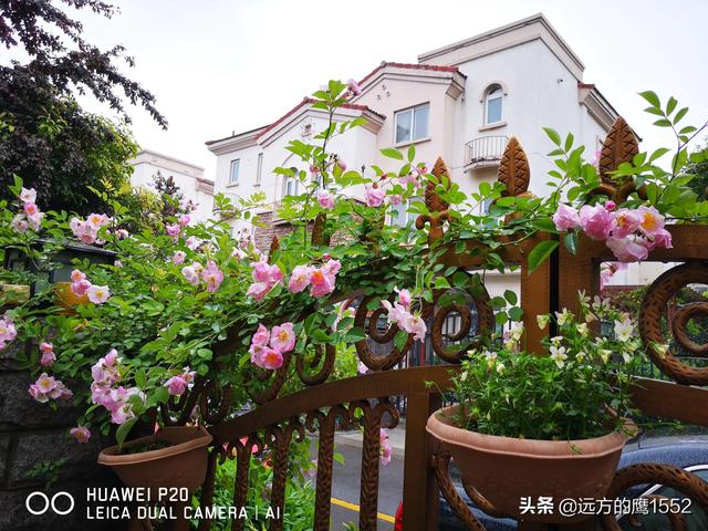 清新唯美的微信网名:有哪些淡雅清新的香水值得推荐