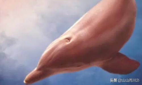 ps海报制作教程,ps电影海报的制作方法和技巧？