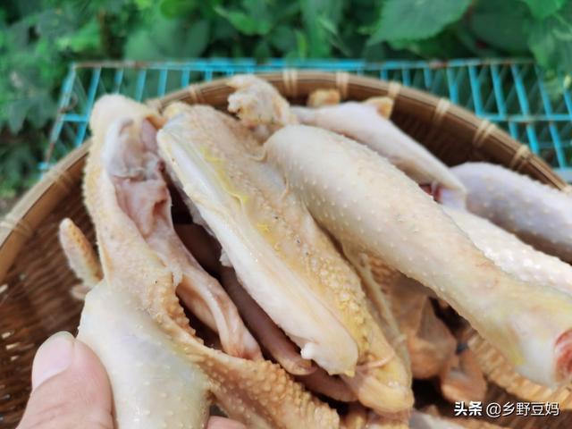 炖鸡怎样烹饪？有什么配料秘制？