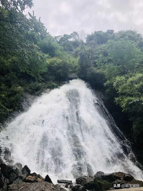 观鸟大年 谢尔顿:为什么很多人选择冬天去丽江旅游？