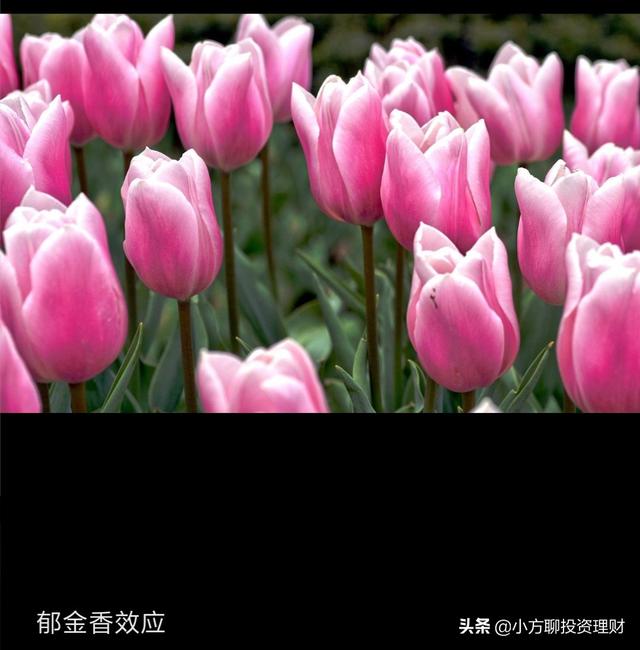 有些00后炒股的现象你怎么看