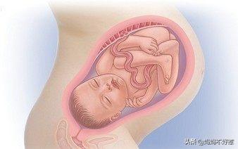 头条问答 怀孕38周生的宝宝跟40周生的区别大吗 这两周胎儿发育情况如何 美妈很帅的回答 0赞