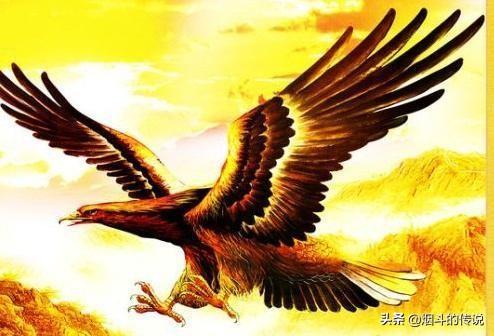 金翅大鹏:金翅大鹏在佛界是佛还是菩萨、罗汉？