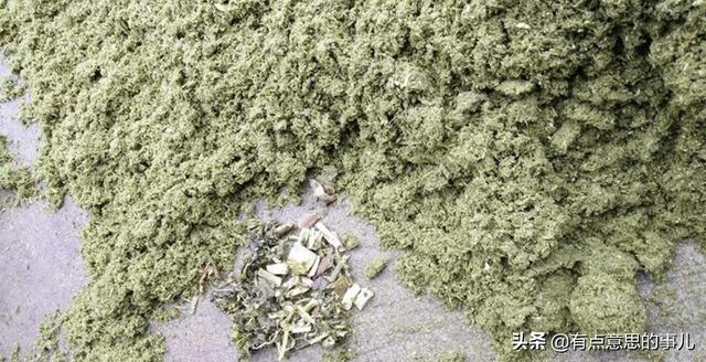 大泽树生:种植构树一次亩产量大概是多少？
