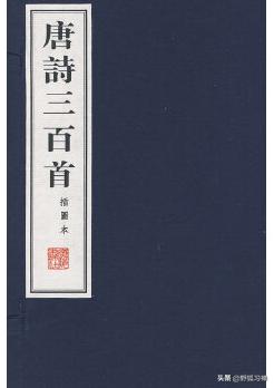 唐朝有哪些不知名的诗人？