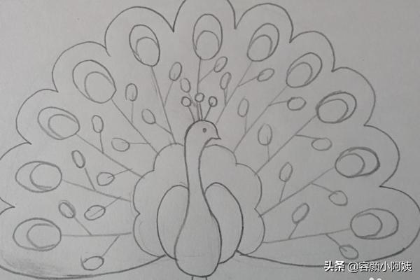 孔雀简笔画,孔雀的简笔画带颜色步骤？
