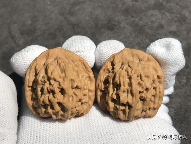 文玩核桃中的天地狮子头是什么？有什么特征？