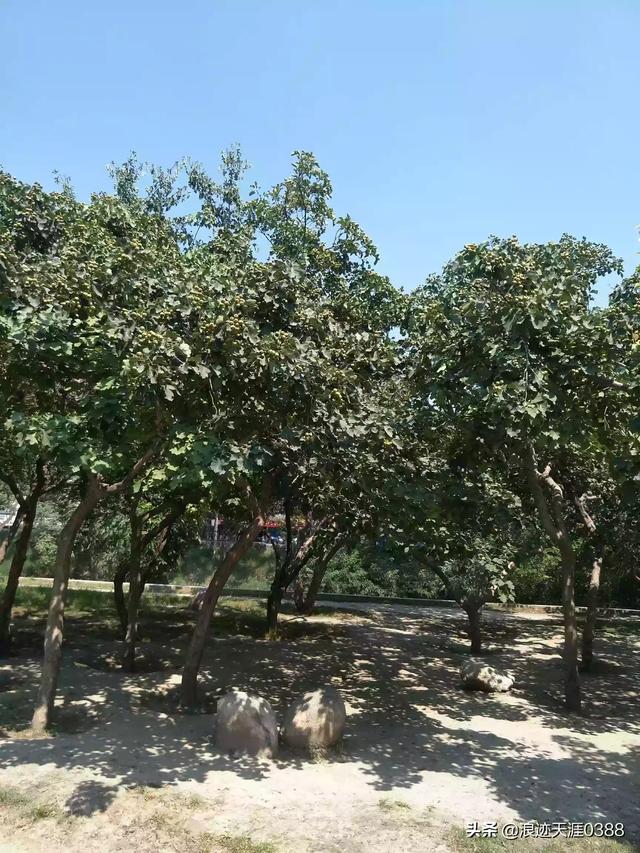 重庆到贵州自驾游5天左右该如何规划路线？