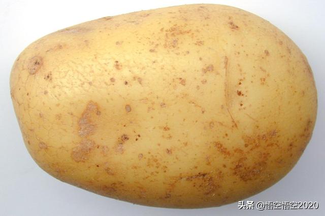 市面上的土豆越来越大，究竟和膨大剂有没有关系？你会吃吗？插图34
