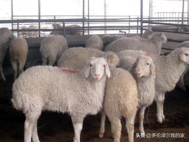 现在农业干什么挣钱？