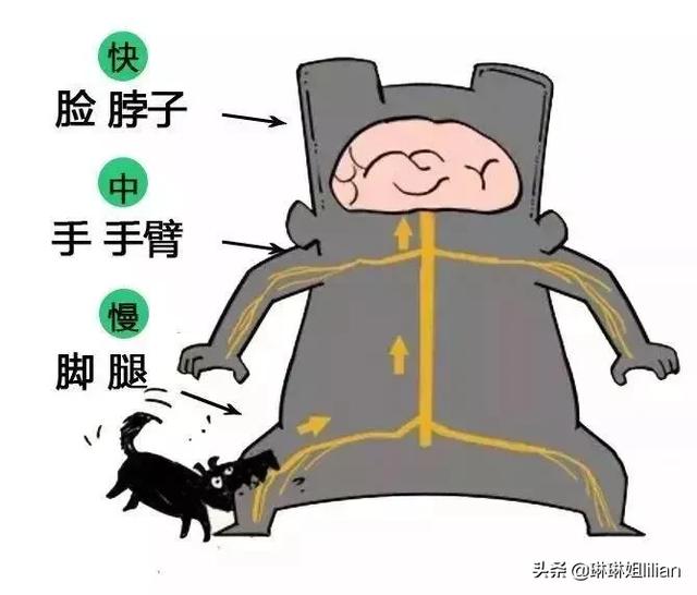 狗狂犬病的传播途径:狂犬病潜伏期的狗咬人可能会传染吗？ 猫狗狂犬病传播途径