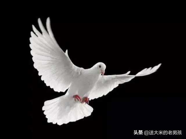 维生素b1缺乏病:维生素B1缺乏病在我国哪个地区发病率较高 长期缺乏维生素会怎么样？