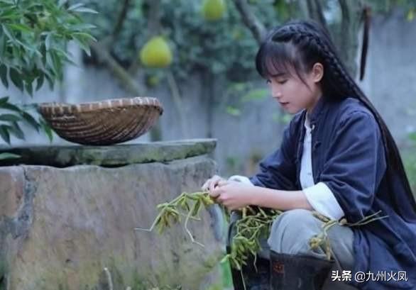 七舅脑爷个人资料:自媒体大咖是怎么成长起来的？