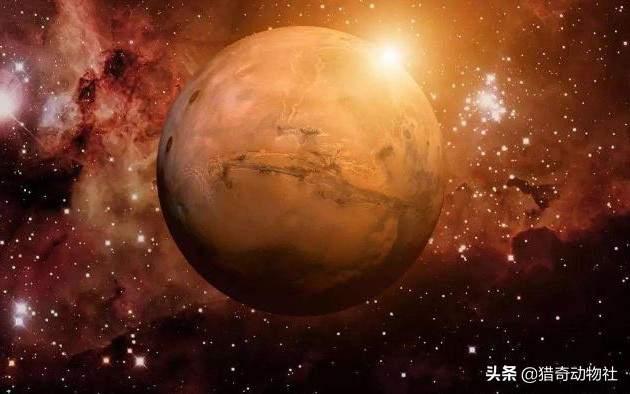 火星异种蟑螂吃什么:如何评价漫画《火星异种》？