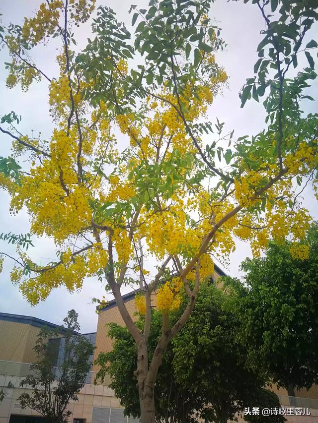 你还剩几个能说心里话的朋友