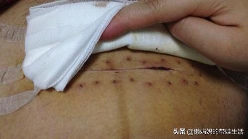 李白撒贝宁的老婆:撒贝宁李白喜提双胞胎，你家几个孩子，过的怎么样？