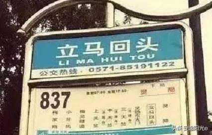 哥伦比亚盆地侏儒兔的个人空间:你见过哪些奇特的街名或巷名？