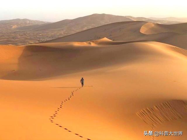 世界第一大荒漠是什么？