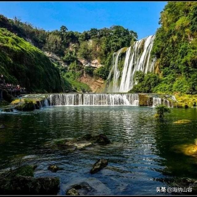 曼基康猫有长腿吗:现在的钱这么好赚吗？怎么感觉很多人都是月入几万、几十万的？