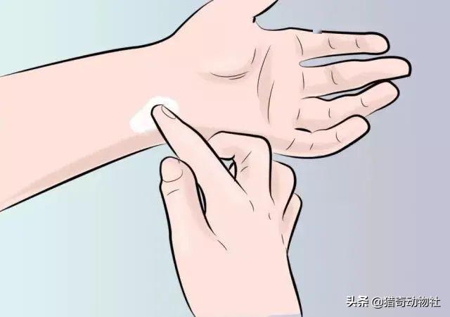 法老蚁咬人:红火蚁屡次杀人！夏季特别活跃，被咬了怎么办？