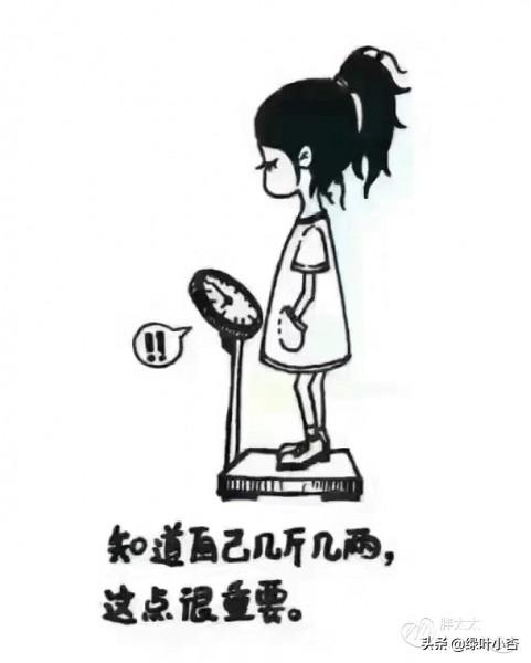 斯芬克斯之谜:今年还有超过《流浪地球》的国产电影吗