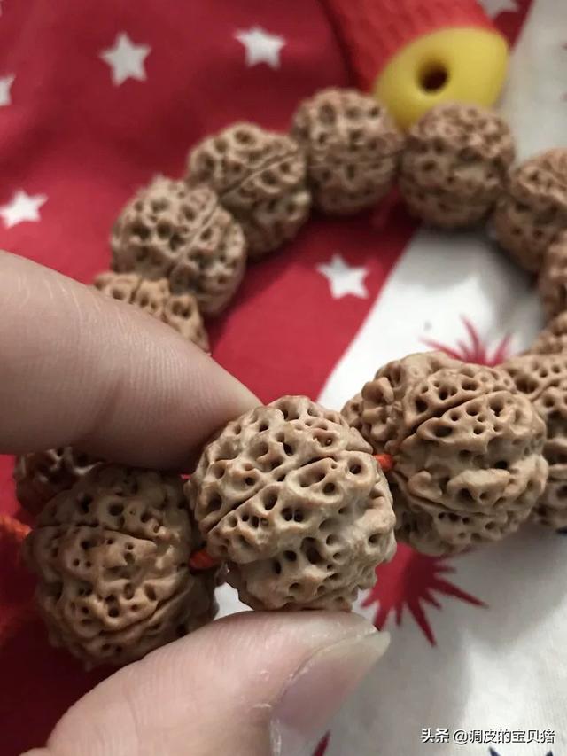 金刚菩提的好坏,如何区分小金刚菩提子好坏？