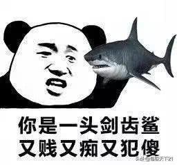 大家有哪些怼人的表情包分享