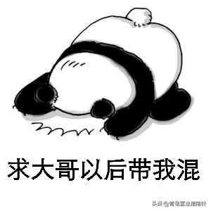 青岛与廊坊房子哪个保值？