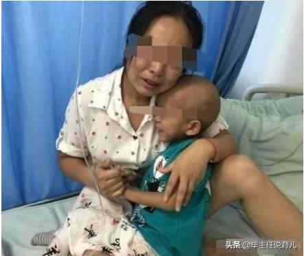 猫的诱惑漫画橘文泠:你们那里得到一只小家猫容易吗？