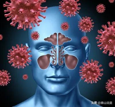 新型冠状病毒几天会死亡:新型冠状病毒死亡过程 新冠疫情会不会存在很长时期，几年甚至更长，就像鼠疫不会消亡？