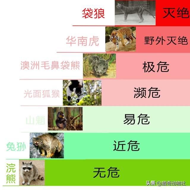 如何判断一个物种是否灭绝？