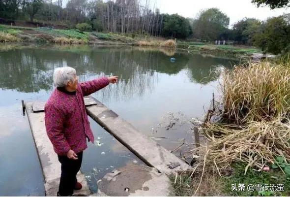 消防员救狗跳粪坑得网友称赞:如果看到有人落水，你会跳河施救吗？