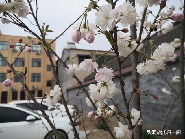 退伍军人选择创业自媒体,但是那些视频素材跟文案不知道哪里找,还望前辈们指教？