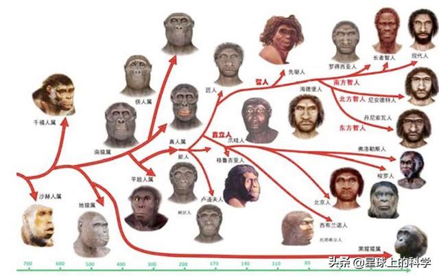 四大地震剩一个，十万年前，地球上至少有六个人种，为何今天却只剩下了我们自己