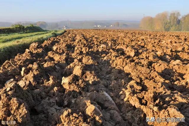 为什么种植农作物前都要求深耕土壤?-芃睿知识网
