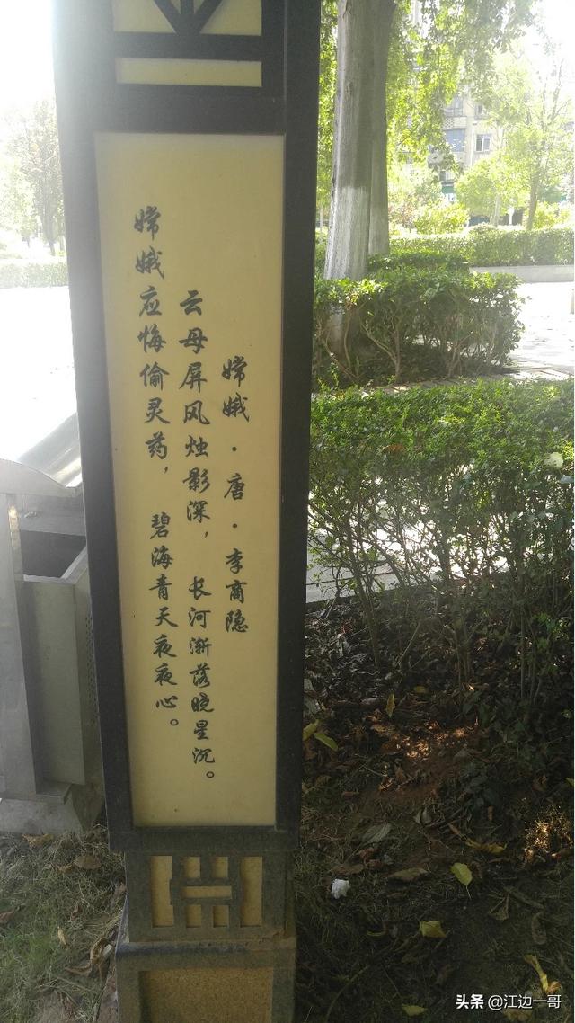 头条问答 我有较强的文学功底 想开始学写诗 该如何学 以后能否成为一个有名的诗人 71个回答