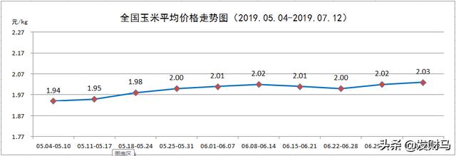 现在养猪有前途吗？