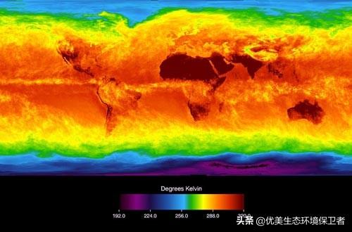 新疆百灵鸟论坛:摄影圈中的老法师是什么？ 新疆棉花质量好