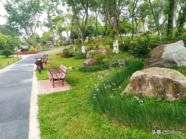 东莞哪里有免费景区？