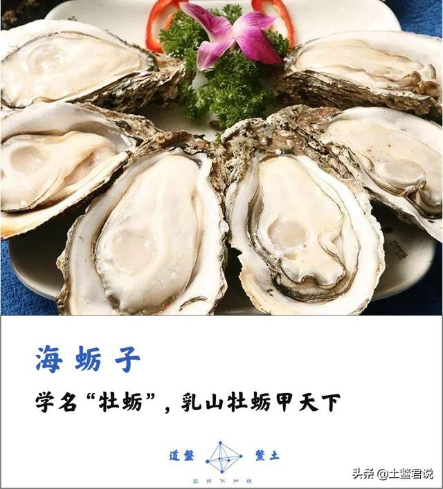 龙趸王:中国四个海哪个海里的海鲜好吃，为什么