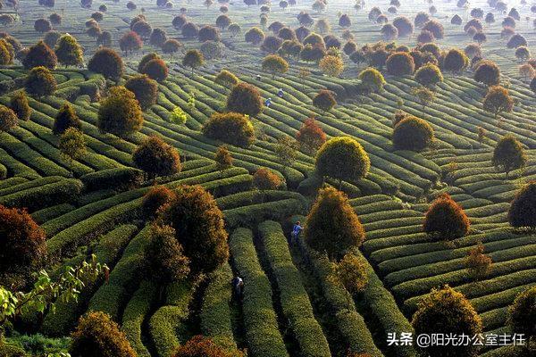 雅女 雅鱼 雅雨:最适合人类居住的三四线城市？